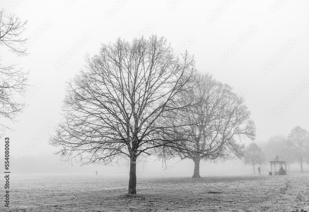 Naklejka premium London, United Kingdom, 11 December 2022: Thick fog in the early morning as people walking, jogger run in London Park 