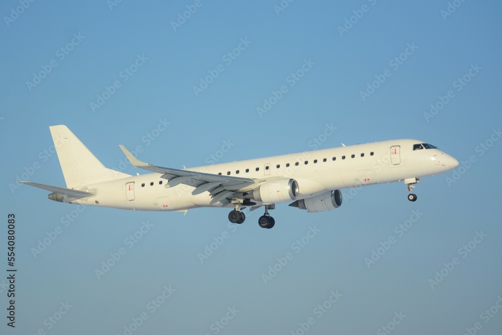 Obraz premium Landing plane