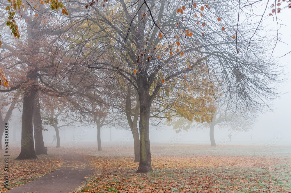 London, United Kingdom, 11 December 2022:  Thick fog in the early morning as people walking, jogger run in London Park
