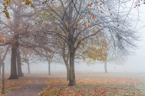 London  United Kingdom  11 December 2022   Thick fog in the early morning as people walking  jogger run in London Park 