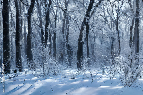 Winter Forest Background, Winter Forest Landscape Background, Forest Background "Generative AI" 
