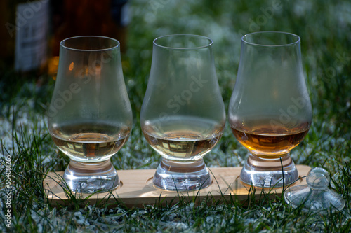 Glasses of ice cold Scotch single malt or blended whisky on white frosted green grass, winter in Scotland