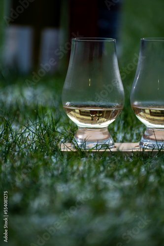 Glasses of ice cold Scotch single malt or blended whisky on white frosted green grass, winter in Scotland © barmalini