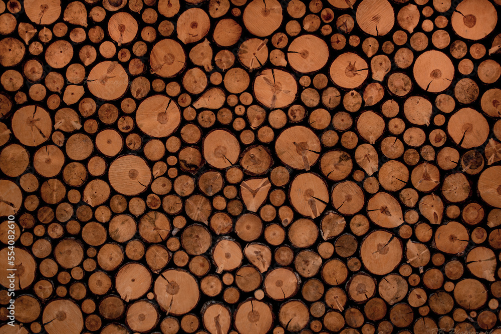 Texture from stack of wood logs in form of different sized circles Texture from stack of wood logs in form of different sized circles