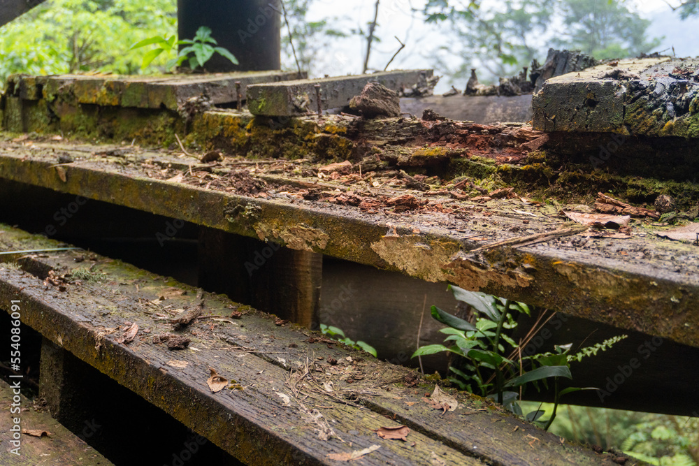 old rotten and corroded wooden staircase in the middle of nature at the State Park Caminhos do Mar, surrounded by a remaining area of the Atlantic Forest. Cubatão, Sao Paulo, Brazil.