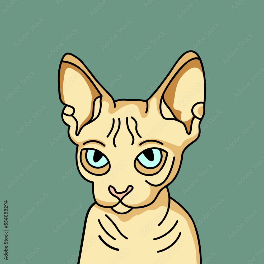 Sphynx cat portrait. Hand drawn vector illustration.