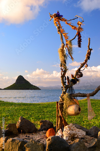 Hawaiian tradition states that leis should not be tossed, but returned to the earth by hanging on a tree branch photo
