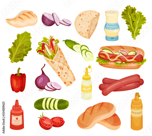 Doner Kebab and Hot Dog Sandwich Ingredients Big Vector Set