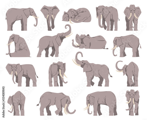 Grey Elephant as Large African Animal with Trunk in Different Pose Big Vector Set