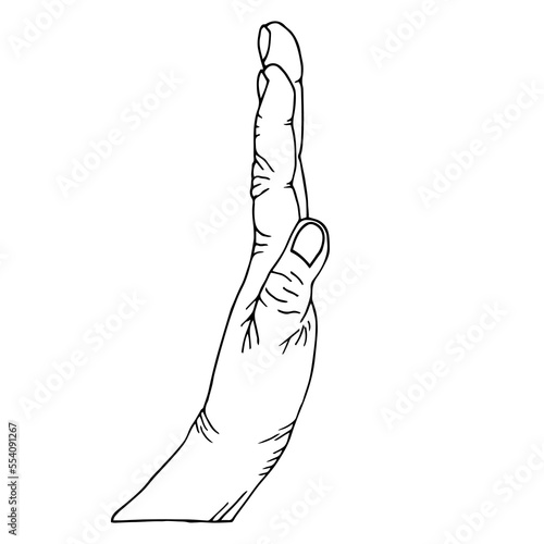 Human palm in profile from the side of the thumb. The palm shows a stop sign.