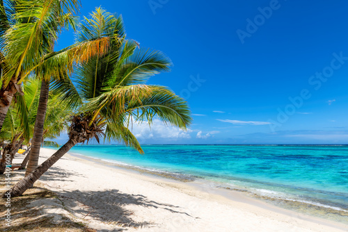 Fototapeta Naklejka Na Ścianę i Meble -  Exotic coral beach with palm trees and and tropical sea in Mauritius island. Summer vacation and tropical beach concept.	