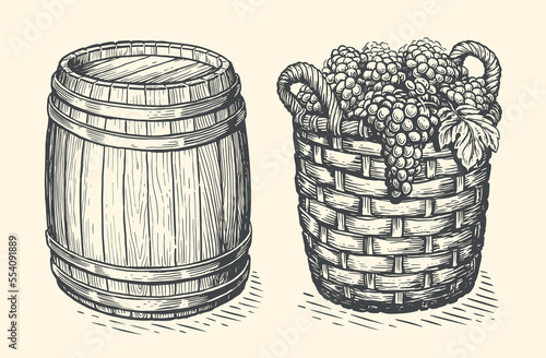 Basket full of grapes freshly picked from vineyard, wooden wine barrel. Winery sketch. Vintage vector illustration