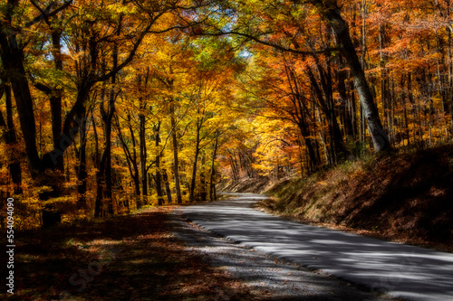 Country roads in the Fall