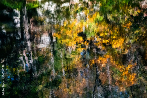 Fall stream reflections