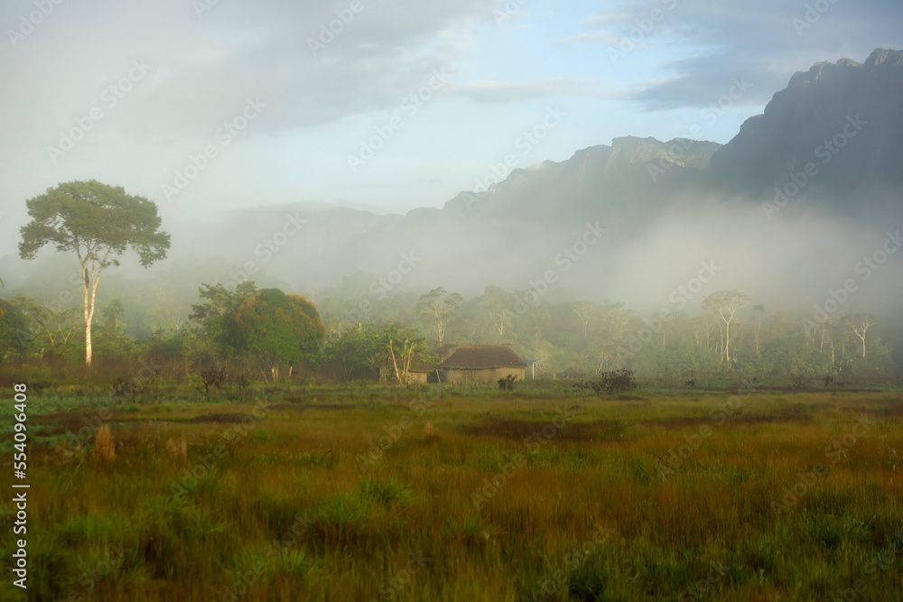 In the early hours of the morning mist rises up from the damp ground at the foot of Sarisarinama Tepui.; Gran Sabana, Venezuela. In the early hours of the morning mist rises up from the damp ground at the foot of Sarisarinama Tepui.; Gran Sabana, Venezuela.