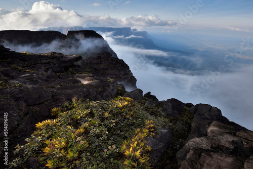 The east facing cliffs of Auyan Tepui.; Gran Sabana, Venezuela. photo