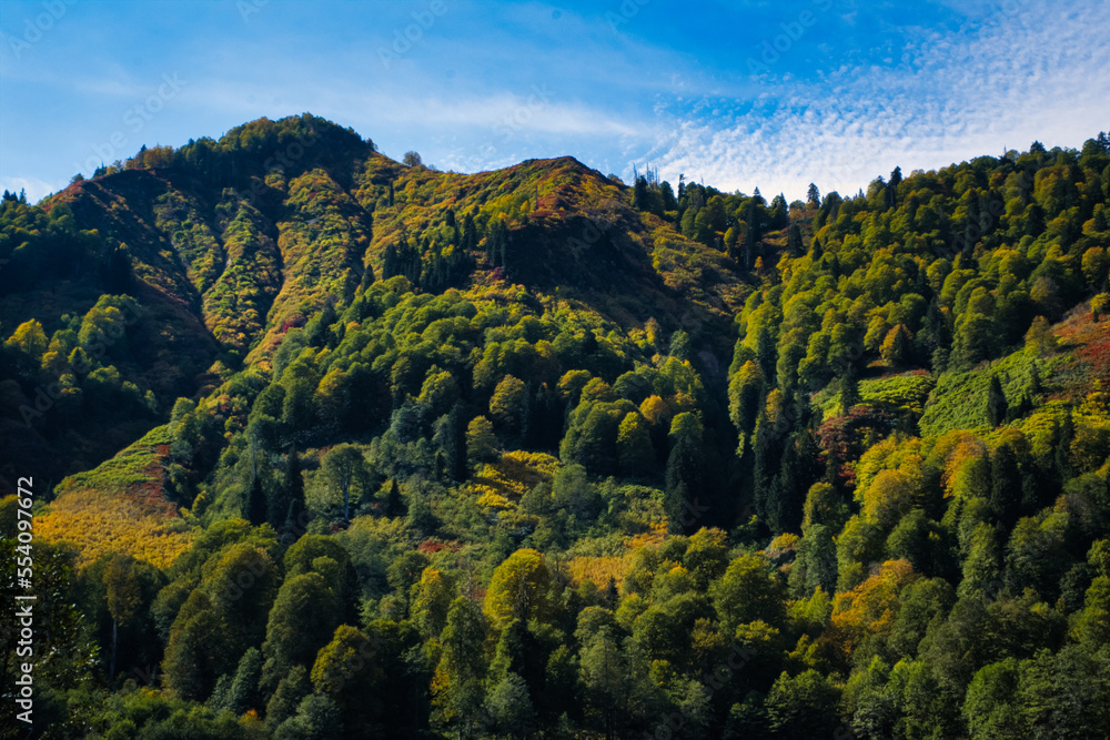 Fototapeta premium Mountain view at karagol ,Artvin, Turkey