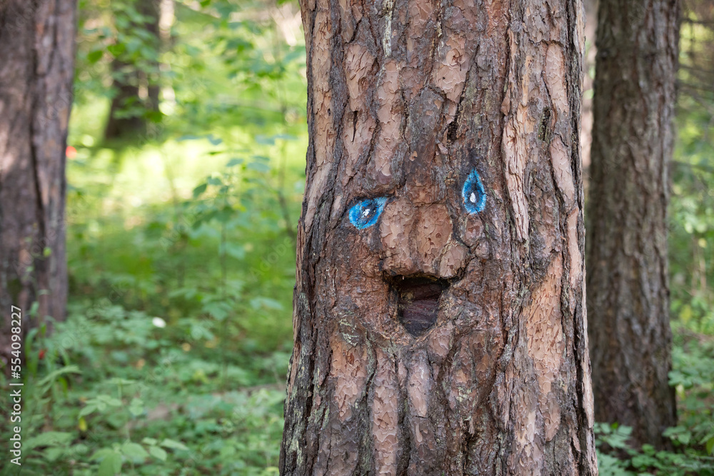 Smiling trunk of a pine tree. Spirit of the forest Smiling trunk of a pine tree. Spirit of the forest
