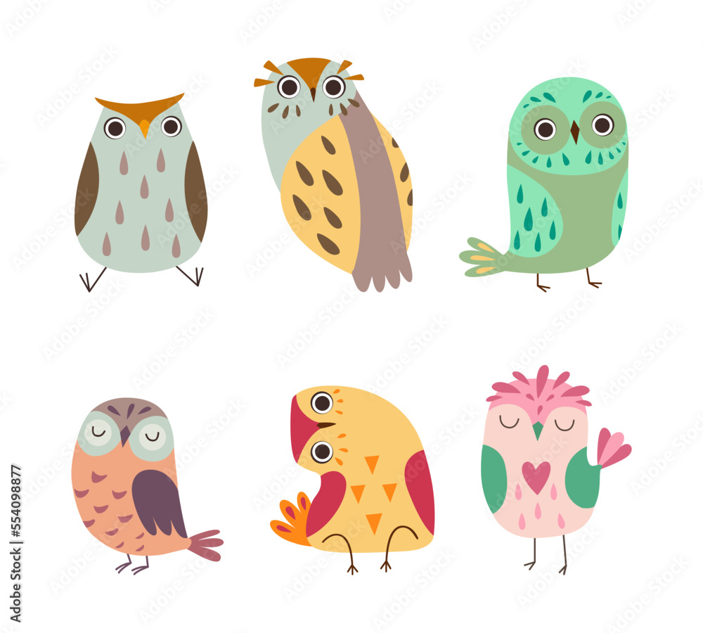 Cute Little Owl with Colorful Plumage as Woodland Nocturnal Bird Vector Set