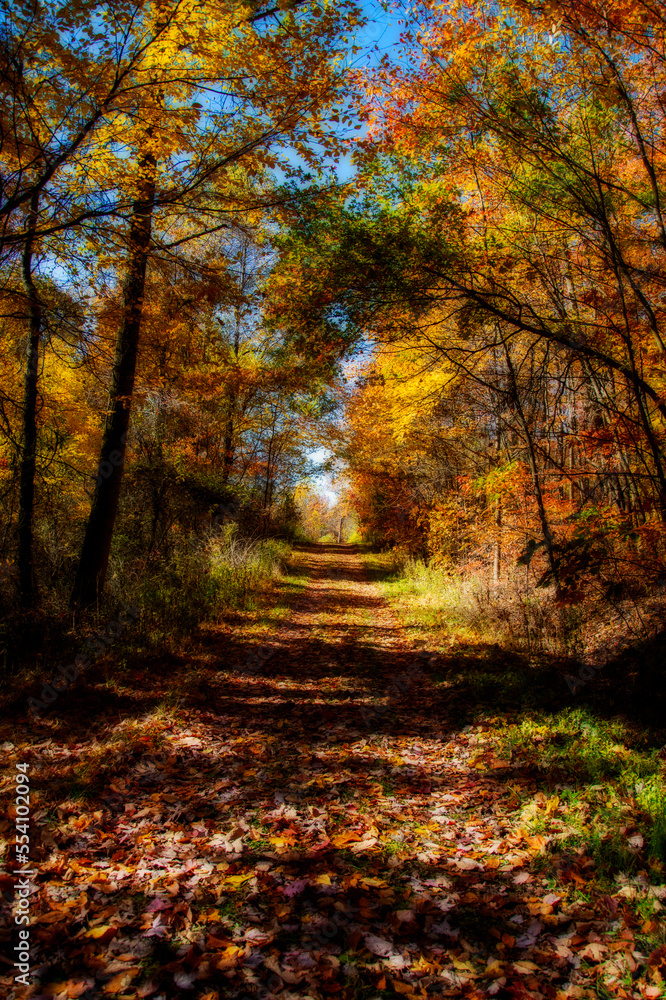 Trail leading up the hill in the fall