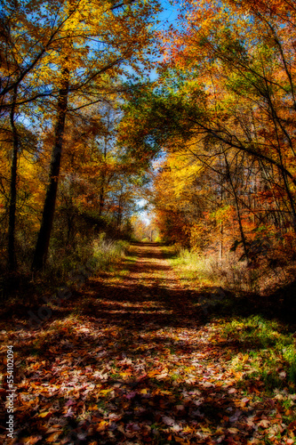 Trail leading up the hill in the fall © dfriend150