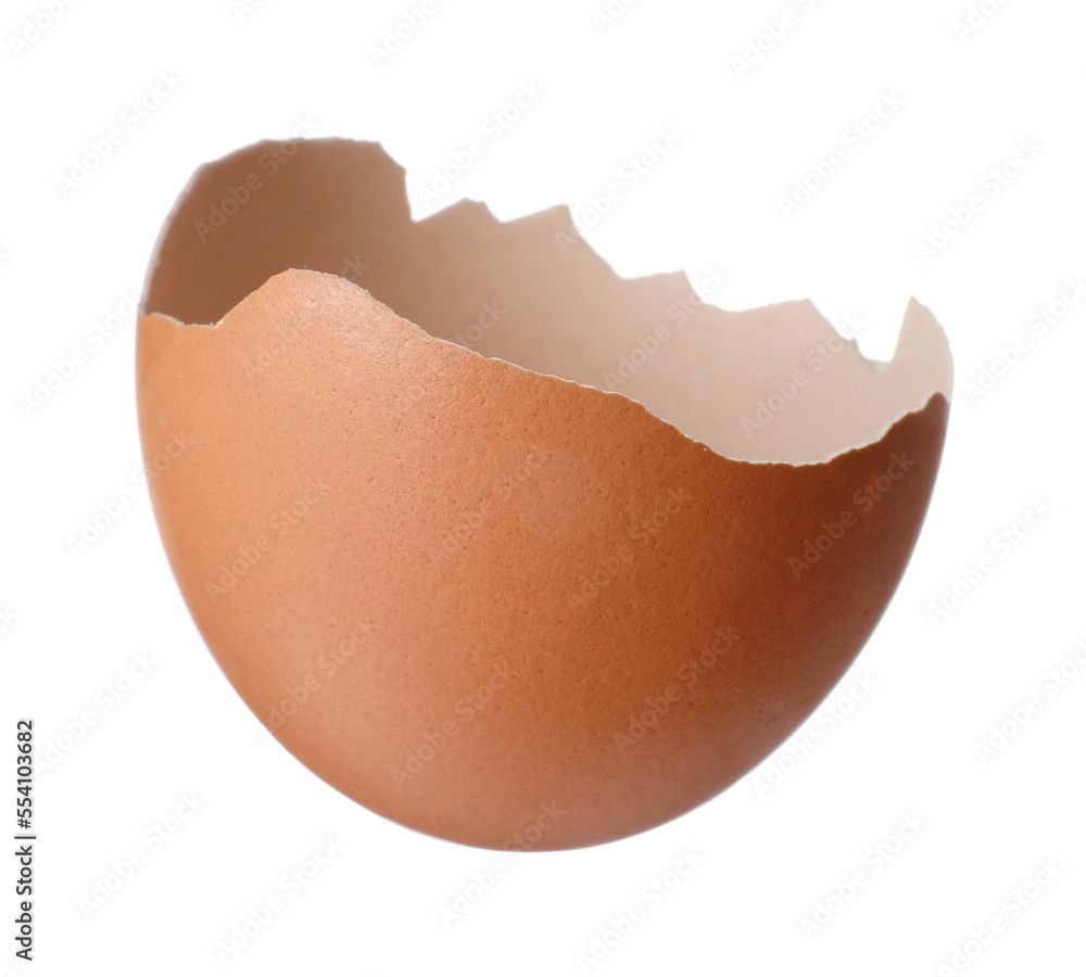 Shell of egg isolated on white background Shell of egg isolated on white background