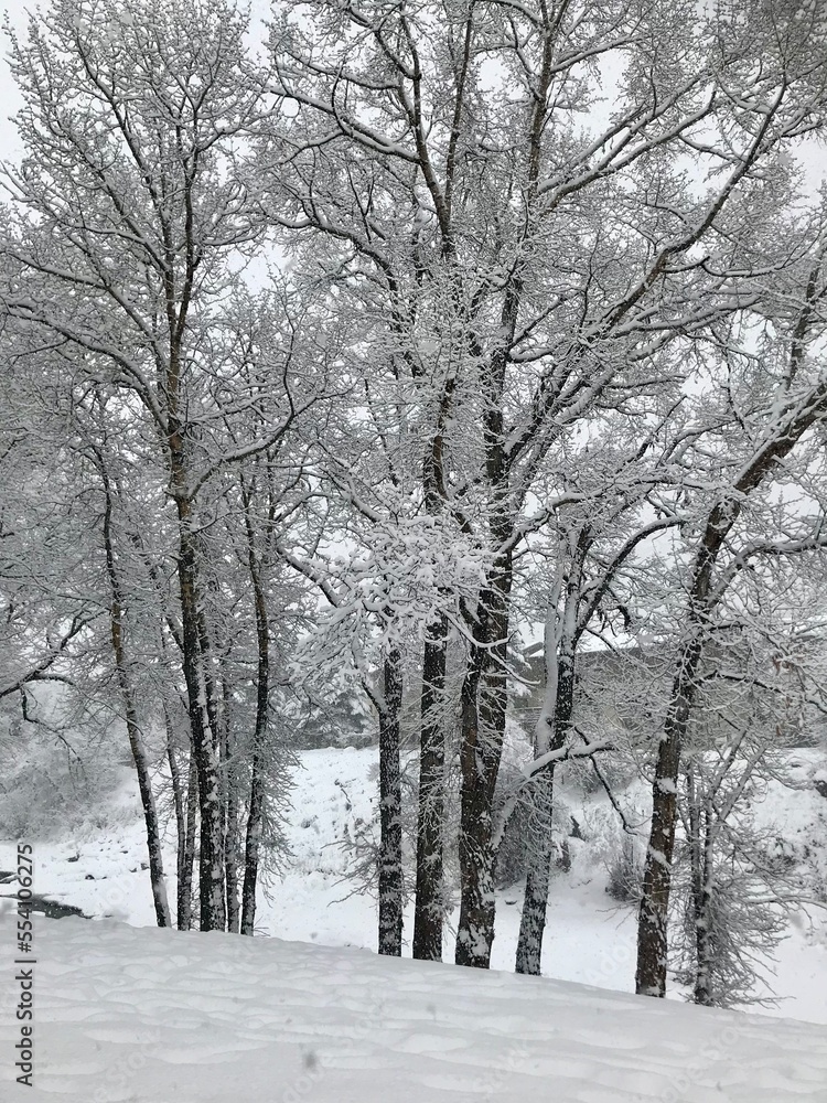 Avon, Colorado, USA Avon, Colorado, USA