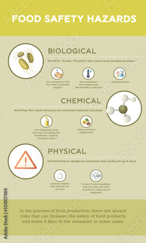 Food Safety Hazards Infographics