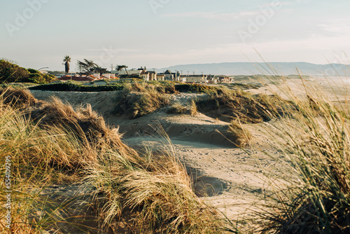 Sand dunes with native plants on the beach  and silhouettes of houses that are set amid coastal sand dunes  California