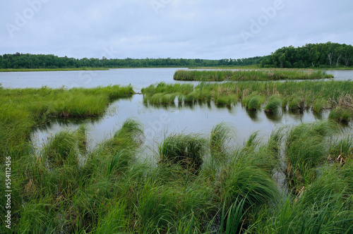 rice lake and grassy wetlands at lowell state wildlife area near pequot lakes minnesota