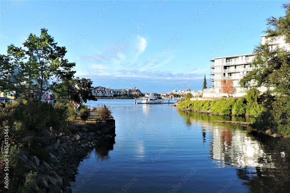 Obraz premium Reflex