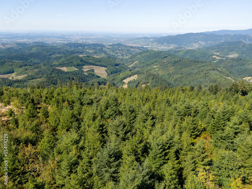 The beautiful view over the Black Forest in Oberkirch. photo