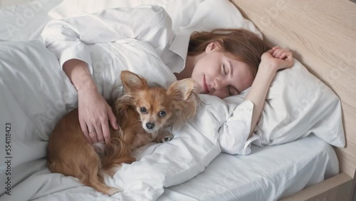 A beautiful red-haired woman sleeps in bed with her chihuahua dog.