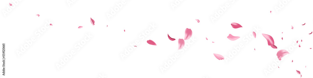 Pink Flower Japan Vector White Panoramic