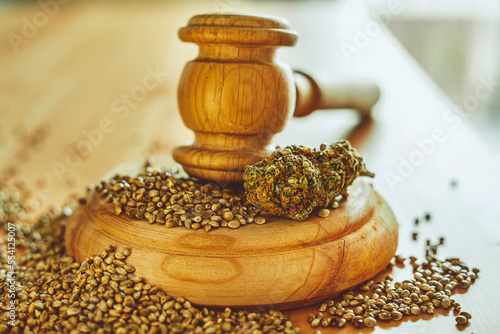 Legality of Medical Cannabis and Seeds, legal and illegal Cannabis, Seeds on the World - Wooden judge hammer and sound block with seeds and flower of marijuana CBD on the pinewood table background.