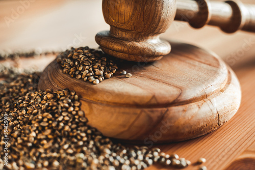 Legality of Medical Cannabis and Seeds, legal and illegal Cannabis, Seeds on the World - Wooden judge hammer and sound block with seeds and flower of marijuana CBD on the pinewood table background.