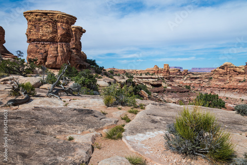 Big Spring Canyon overlook - Needles area, Canyonlands National Park, Utah