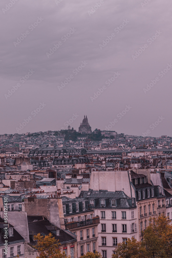 top view of Paris 