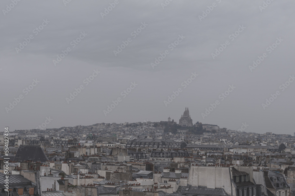 Fototapeta premium top view of Paris 