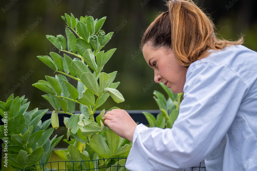 female scientist student in a university. studying plant science doing experiments female scientist student in a university. studying plant science doing experiments
