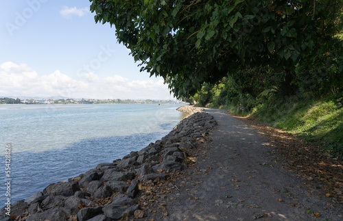 Daisy Hardwick walk on Waikareao Estuary Walkway with shade from trees around side of harbour.