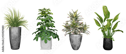 set Plants Decoration