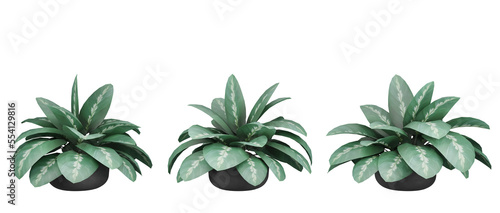 set Plants Decoration