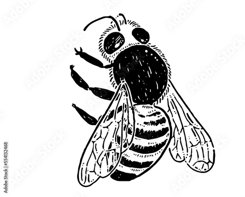 ミツバチの線画イラスト素材