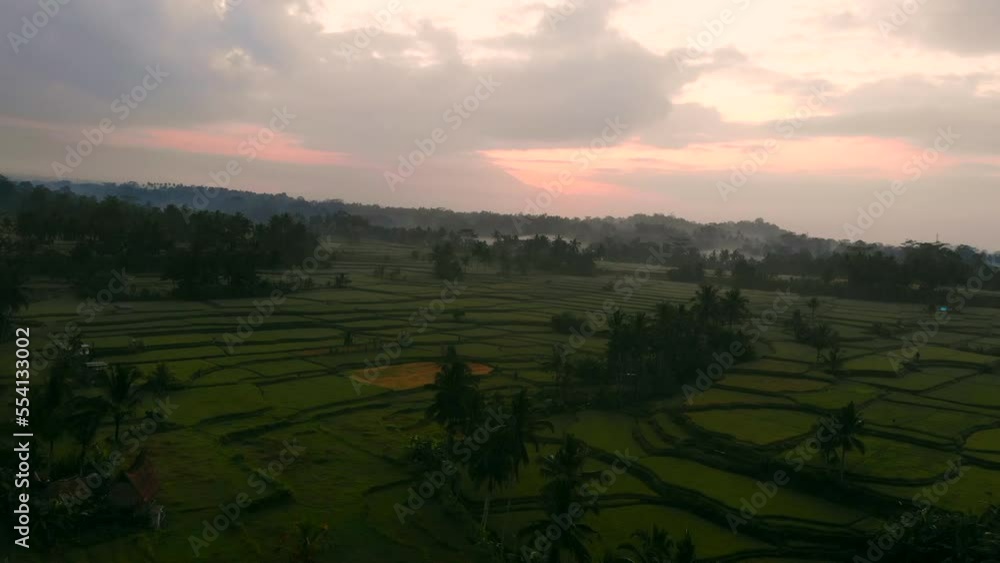Drone shot of sunrise over the rice fields of Indonesia Drone shot of sunrise over the rice fields of Indonesia