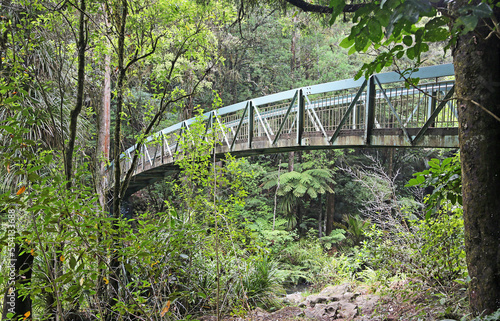Romantic bridge over Hatea River, New Zealand