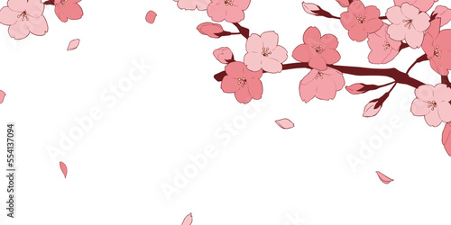 フレーム素材_桜