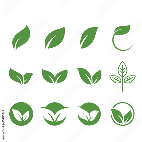 eco leaf set element vector design template