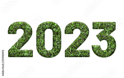 2023 New Year nature green plant 3d - transparent background PNG