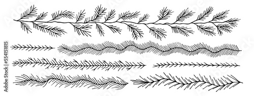 set collection plants leaves hand drawn vector. Drawing beautiful creeper leaf, decorative set.	